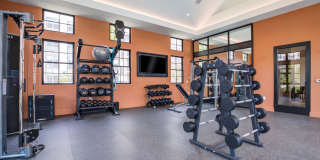 EDE Gallery 25