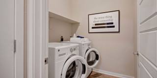 Park on Central Gallery 13