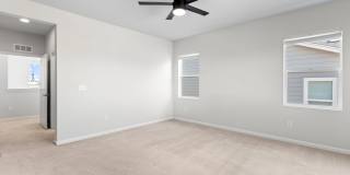 4951 Basalt Ridge Cir Gallery 17