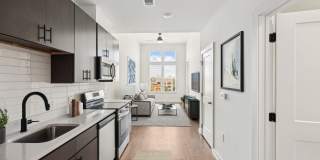 The Navigator The Navigator Gallery 30