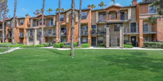 The Hills Of Corona Gallery 45