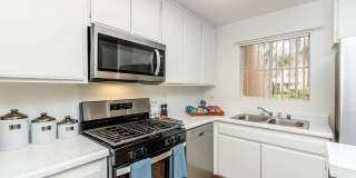 The Terrace Apartments Gallery 59