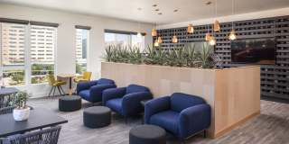 Fellow at Fitz Gallery 19