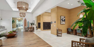 Blue Lagoon 7 Gallery 6