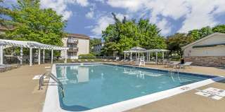 Quail Ridge Gallery 1