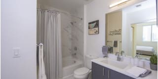 Brickell West City Rentals Gallery 17