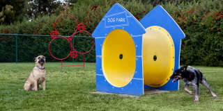 Whimsical Pig Gallery 15