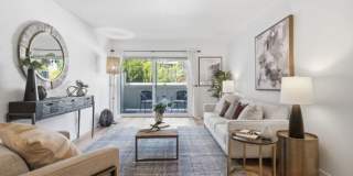 288 Whitmore St Apt 121 288 Whitmore St Apt 121 Gallery 1