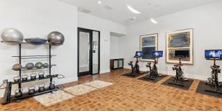 Alaro Gallery 7