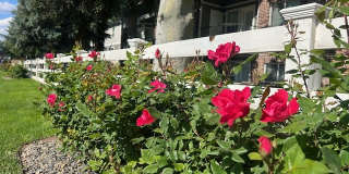 Springs of Royal Oaks Gallery 38