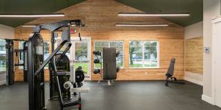 ReNew Dash Point Gallery 52