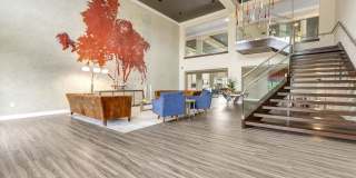 Vanguard Crossing Gallery 33