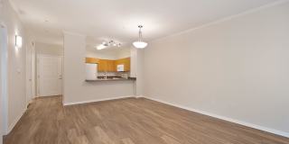 Mission Hills Commons Gallery 9