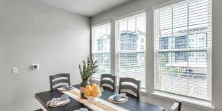 RISE Sereno Gallery 59