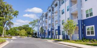 Madison Shores Gallery 26