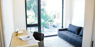 The Olive The Olive Gallery 20