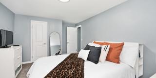 8269 Sandy Lane Gallery 16