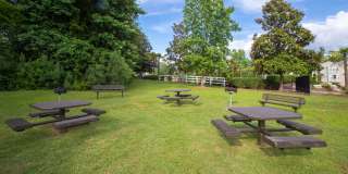 River Bluff of Lexington Gallery 31