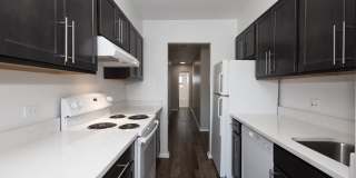 Bellaire Plaza Gallery 9