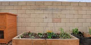 1562 Harwood Avenue Gallery 29