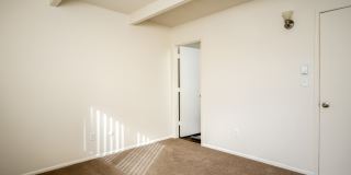 The Scholls Gallery 17