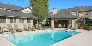 Carmel Woods Gallery 5