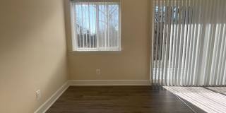 Northgate Gallery 292