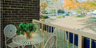 Plum Tree Gallery 25