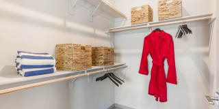 Viva Summerland Gallery 12