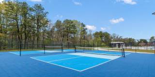 Renaissance Bay Gallery 30