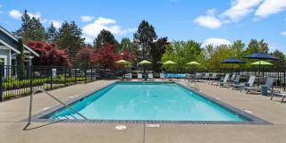 Cascade Ridge Gallery 38