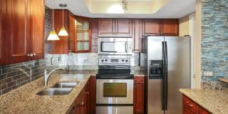 450 Treasure Island Causeway - 502#502 450 Treasure Island Causeway - 502#502 Gallery 3
