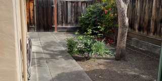 416 Tyrella Ave Gallery 23