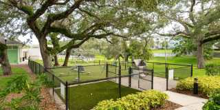 Solaris Key Gallery 44