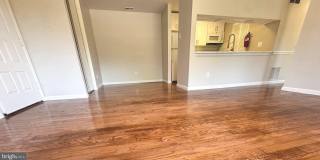 1502 THE WOODS Gallery 8