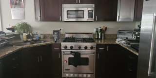 1852 N HALSTED Street Gallery 4