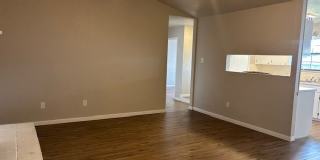 2404 Hidden Hill Drive Gallery 11