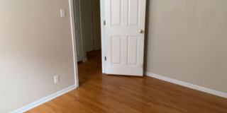 3912-28 N Pine Grove Gallery 29