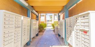 Valley Springs Gallery 17