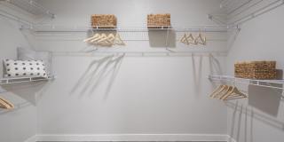 Prose Solaire Gallery 15