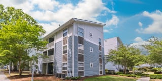 Village Green Gallery 46