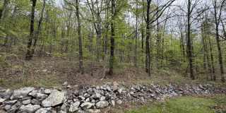 44 Kirkland Drive Gallery 29
