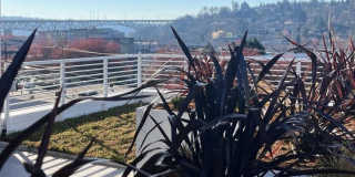 Rowlock Gallery 15
