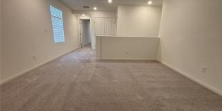 7008 Dandelion Park Avenue Gallery 65