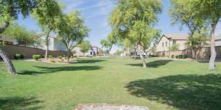 9377 West Milkweed Loop Gallery 24