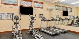 Little Tuscany Gallery 30