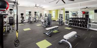 Shadetree Gallery 23