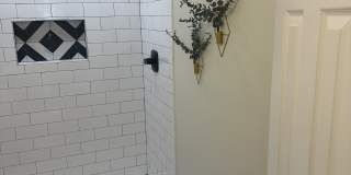2013 Camp Street Gallery 5