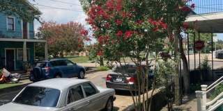 3349 Dumaine Street Gallery 10