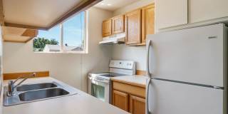 Dolphin Apartments Gallery 12